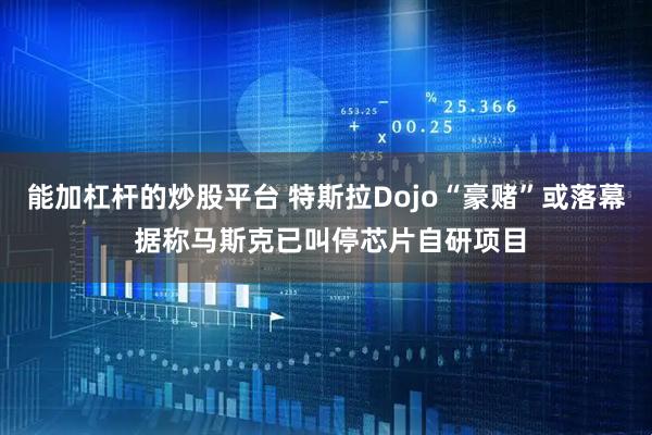能加杠杆的炒股平台 特斯拉Dojo“豪赌”或落幕 据称马斯克已叫停芯片自研项目